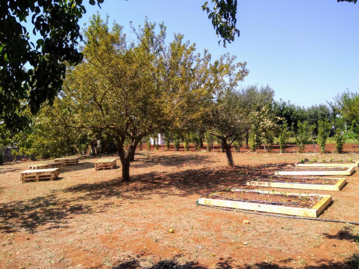 I Colmi - Trulli Suites Martina Franca Bagian luar foto